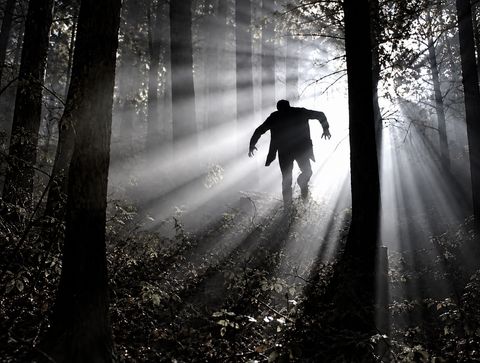 A shadowy figure among forest trees with beams of light cutting through the mist